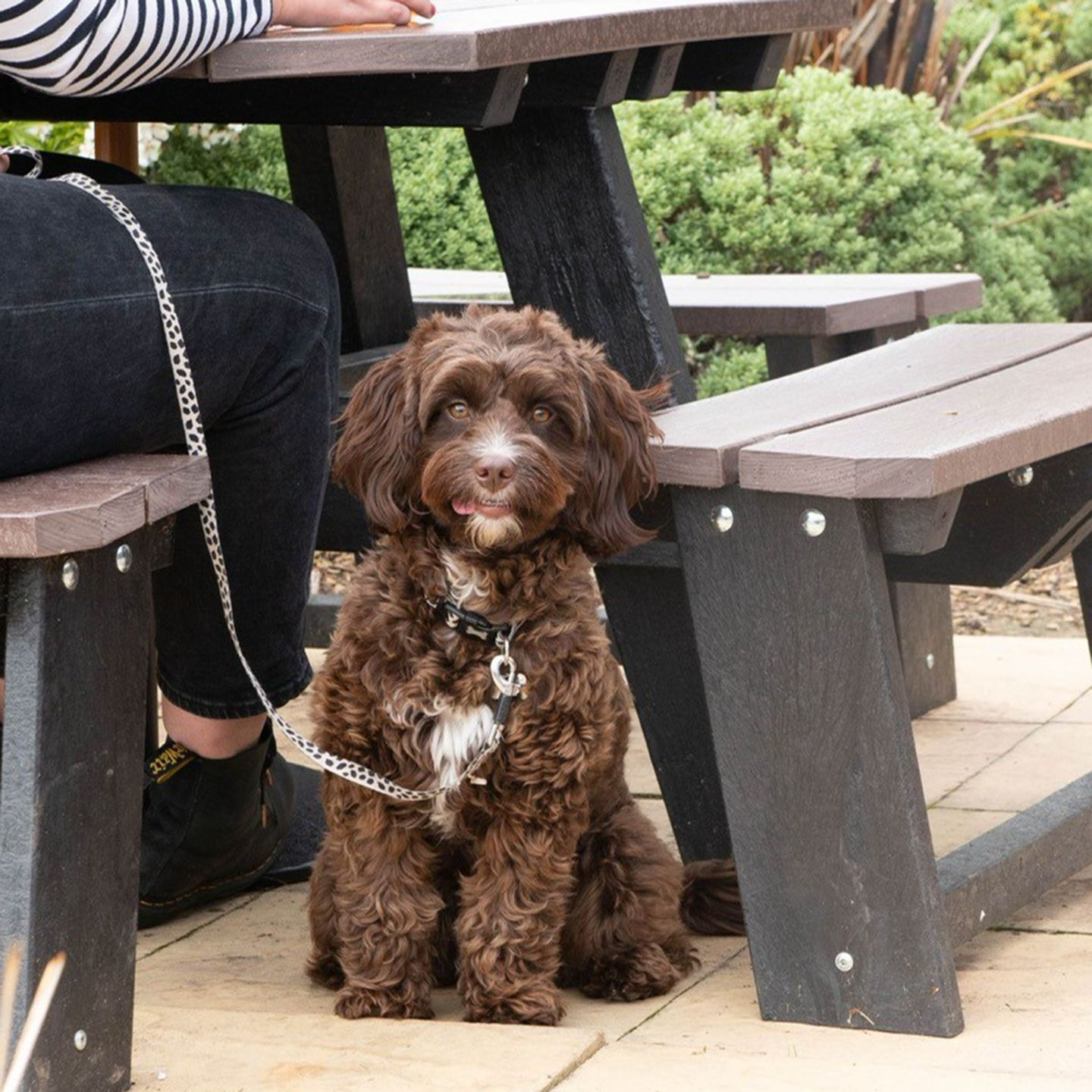 Your local dog friendly pub in North Ferriby